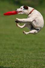 Watch Dogs 101: New Tricks Vumoo