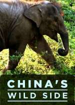 Watch China's Wild Side Vumoo