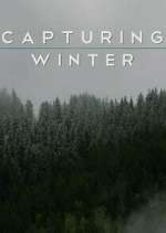 Watch Capturing Winter Vumoo