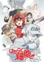 Watch Cells at Work! Vumoo