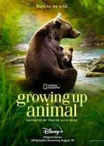 Watch Growing Up Animal Vumoo