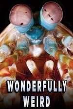 Watch Wonderfully Weird Vumoo