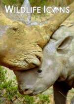 Watch Wildlife Icons Vumoo