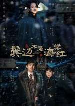 Watch Winter Begonia Vumoo