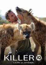 Watch Killer IQ: Lion vs. Hyena Vumoo