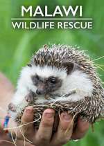 Watch Malawi Wildlife Rescue Vumoo
