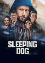 Watch Schlafende Hunde Vumoo