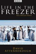 Watch Life in the Freezer Vumoo