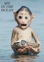 Watch Spy in the Ocean Vumoo