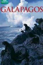 Watch Galapagos Vumoo