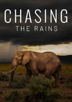 Watch Chasing the Rains Vumoo