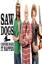 Watch Saw Dogs Vumoo