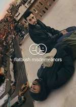 Watch Flatbush Misdemeanors Vumoo