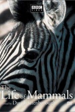 Watch The Life of Mammals Vumoo