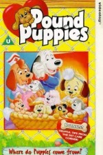 Watch Pound Puppies Vumoo