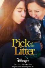 Watch Pick of the Litter Vumoo