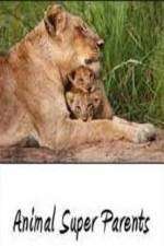 Watch Animal Super Parents Vumoo