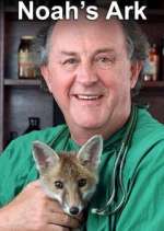Watch Noah's Ark Vumoo