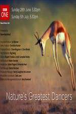 Watch Nature's Greatest Dancers Vumoo