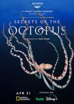 Watch Secrets of the Octopus Vumoo