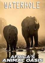 Watch Waterhole: Africa's Animal Oasis Vumoo