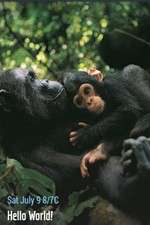 Watch Hello World! Vumoo