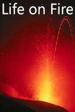 Watch Life on Fire Vumoo