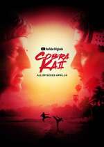 Watch Cobra Kai Vumoo