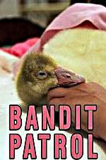Watch Bandit Patrol Vumoo