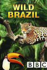 Watch Wild Brazil Vumoo