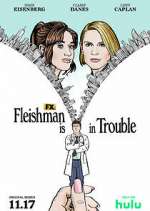 Watch Fleishman is in Trouble Vumoo