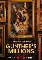 Watch Gunther's Millions Vumoo