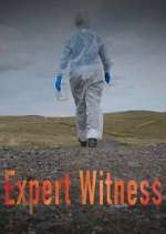 Watch Expert Witness Vumoo