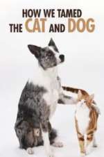 Watch How We Tamed the Cat and Dog Vumoo