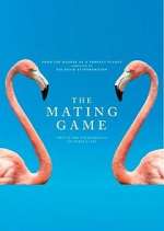 Watch The Mating Game Vumoo