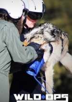 Watch Wild Ops Vumoo