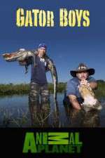 Watch Gator Boys Vumoo