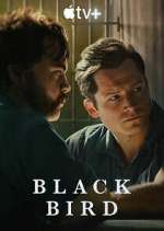 Watch Black Bird Vumoo