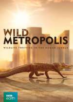 Watch Wild Metropolis Vumoo