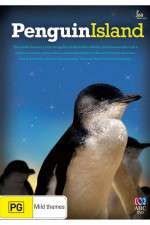 Watch Penguin Island Vumoo