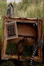 Watch Anna's Wild Life Vumoo