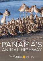 Watch Panama's Animal Highway Vumoo