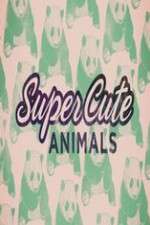 Watch Super Cute Animals Vumoo