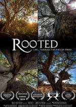 Watch Rooted Vumoo