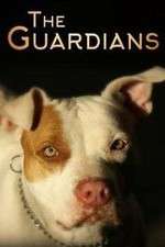 Watch The Guardians Vumoo