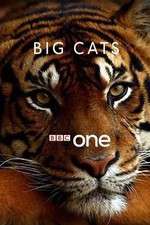 Watch Big Cats Vumoo