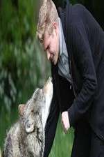 Watch Wolfblood Uncovered Vumoo