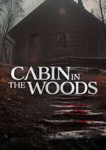 Watch Cabin in the Woods Vumoo