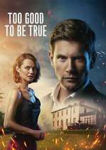 Watch Too Good to Be True Vumoo
