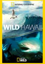 Watch Wild Hawaii Vumoo